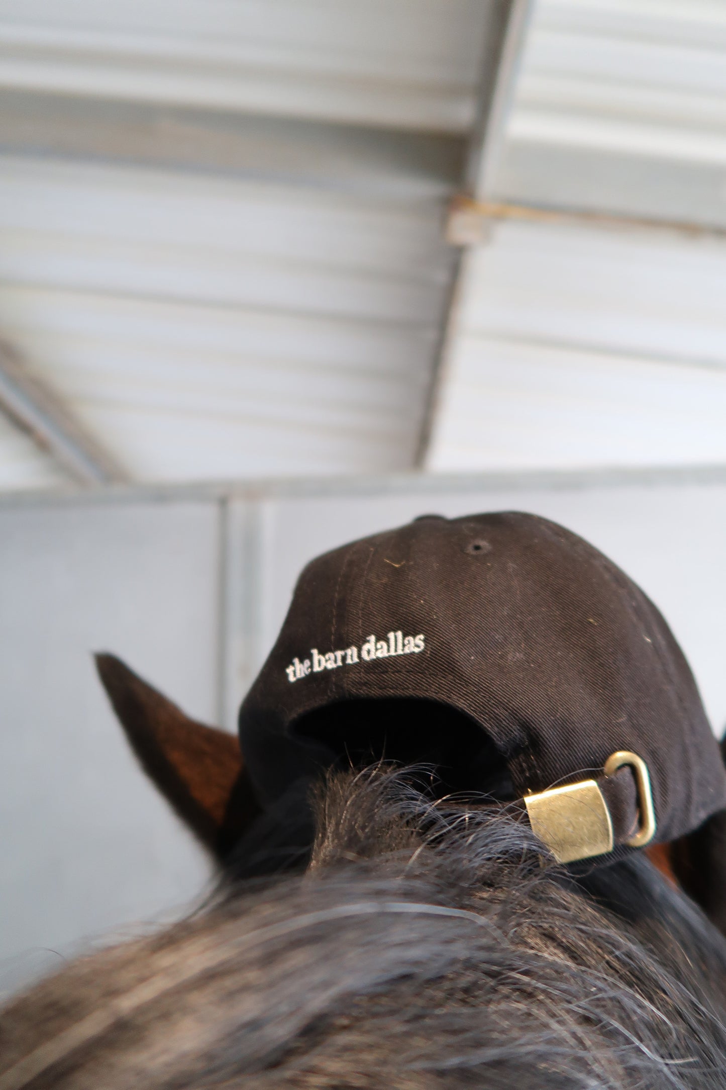 Howdy Hat