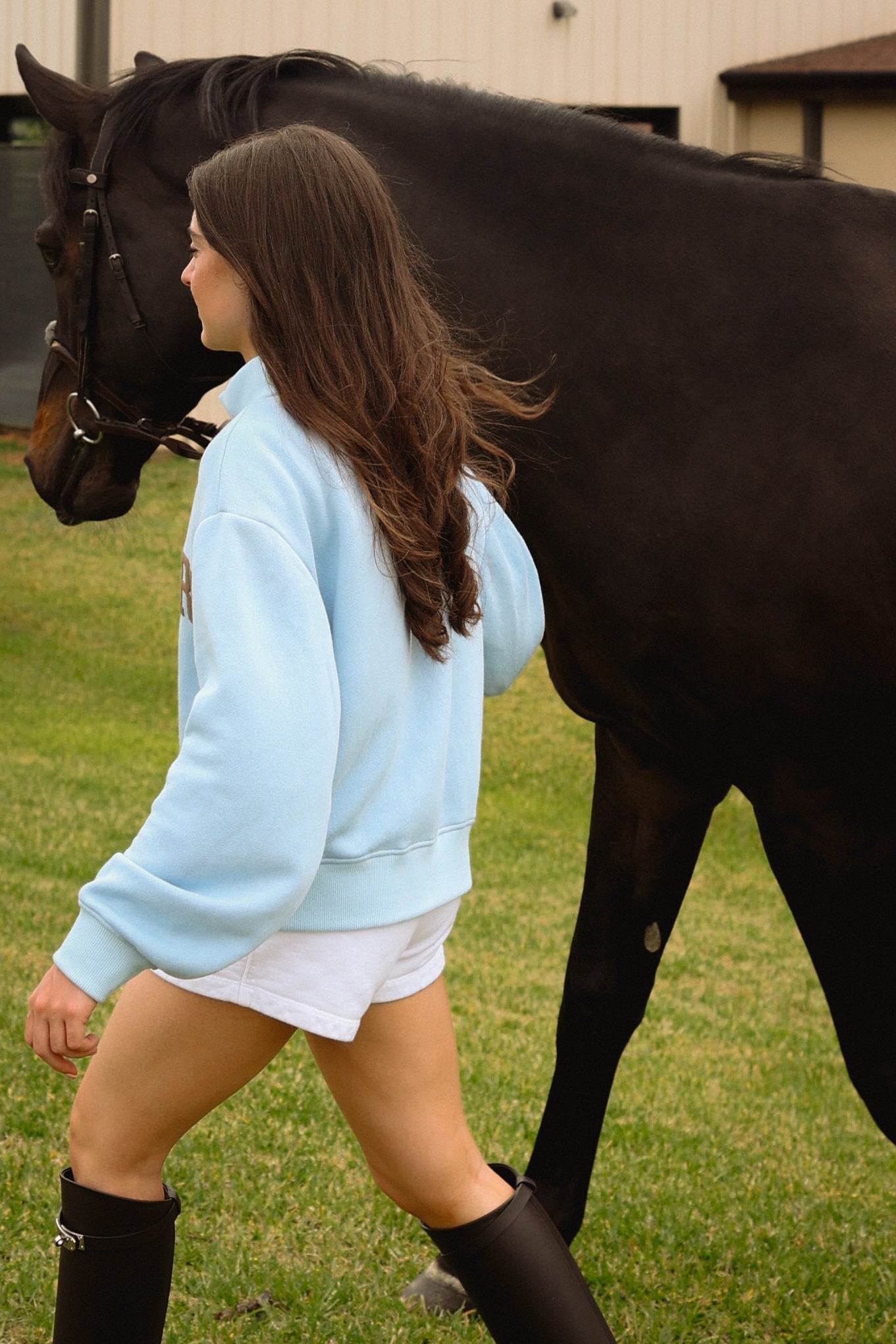 Stable Shorts