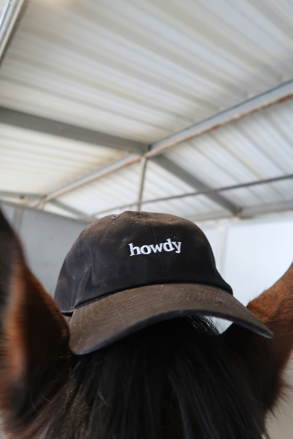 Howdy Hat